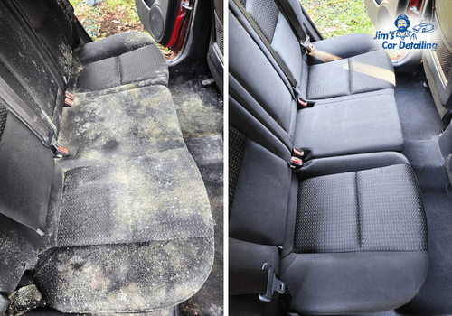 Car Interior Mould Removal